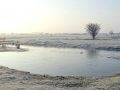 004 DSC02190 Haasveld.