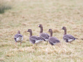 788A3897-
