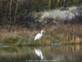 DSCN8027_1