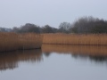 image9