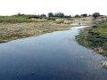 14-DSC06273-Waterplas-in-De-Vellen.