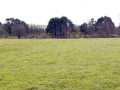 25-DSC06324-Mosveld-Vogelenveld.