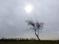 30-DSC06362-De-Zilk.