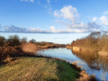 20250126-AWD-Pannenland-1
