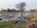 02-DSC09638-