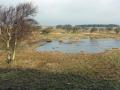 06-DSC09660-
