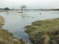 07-DSC09662-