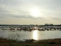 08-DSC09681-