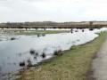 09-DSC09815-