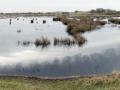 10-DSC09817-