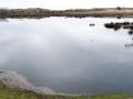 11-DSC09821-