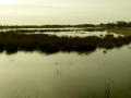 12-DSC09893-