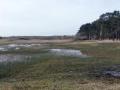13-DSC09889-
