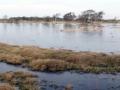 15-DSC09693-