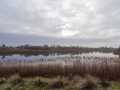 IMG-20230121-WA0012