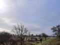 IMG-20230121-WA0013
