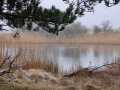 IMG-20230121-WA0016