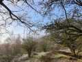 IMG-20230121-WA0017