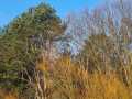 IMG-20230121-WA0019