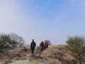 IMG-20230121-WA0021