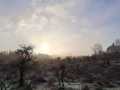 IMG-20230121-WA0022