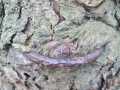 IMG-20230121-WA0023