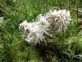 10-DSC07098-