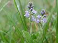 13-DSC07086-