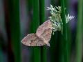 19-DSC07322-