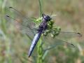 22-DSC07425-