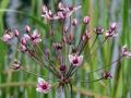 23-DSC07481-