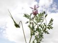24-DSC07510-