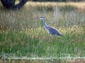 25-DSC07400-