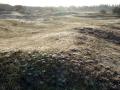 11-DSC05406-