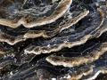 15-DSC06172-