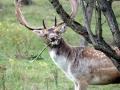 23-DSC06366-