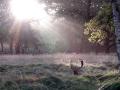 01-DSC09782-
