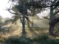 05-DSC09122-