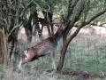 07-DSC09824-