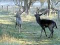 08-DSC09137-
