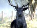 12-DSC09214-