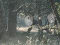 14-DSC09225-