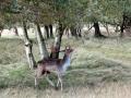 18-DSC09818-