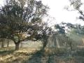 20-DSC09227-