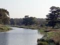23-DSC08805-