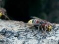 29-DSC08372-