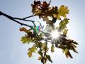 31-DSC08941-