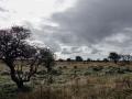 32-DSC08654-