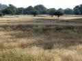 38-DSC08220-