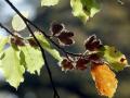 45-DSC09504-